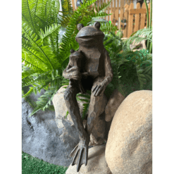 Pond Sitting Frog