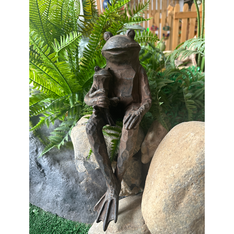 Pond Sitting Frog Pond Sitting Frog