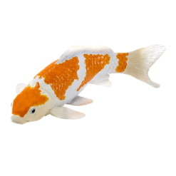 Koi Carp Ochiba Shigure Toy – Realistic Fish Model