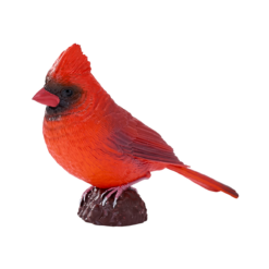 Red Cardinal Bird Toy – Realistic Wildlife Model