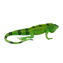 Iguana Toy – Realistic Reptile Figurine