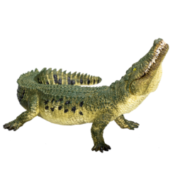 Crocodile with Articulated Jaw – Realistic Reptile Model