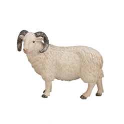 Sheep Ram Toy – Realistic Farm Animal Model