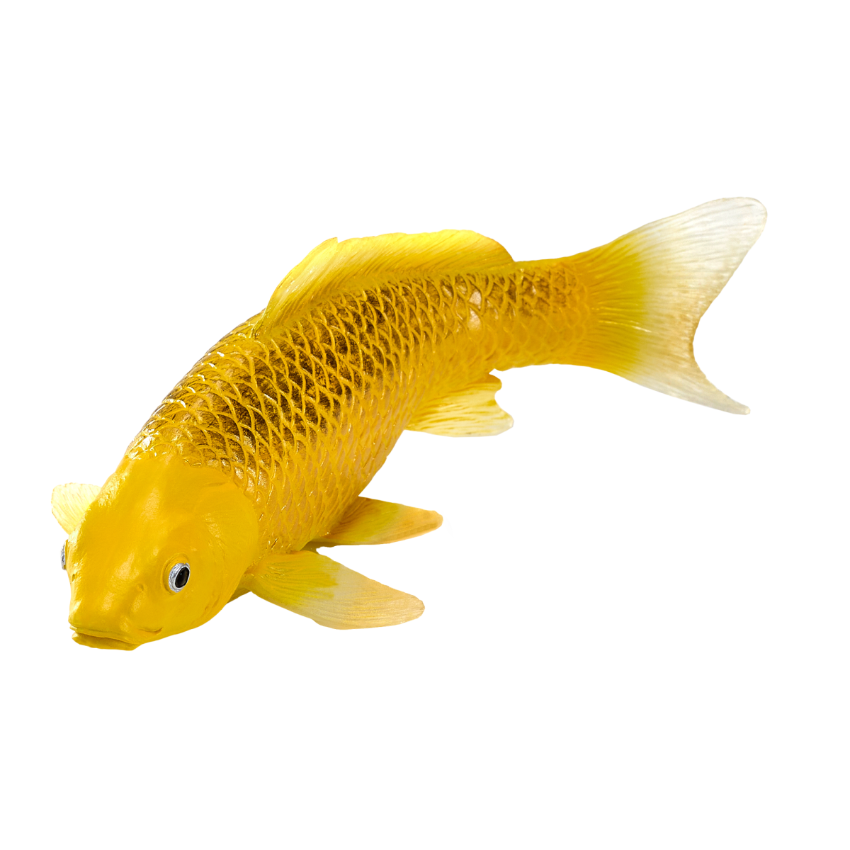 Koi Carp Kin Matsuba – Realistic Fish Figurine Koi Carp Kin Matsuba – Realistic Fish Figurine
