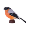Bullfinch Bird Toy – Realistic Wildlife Figurine