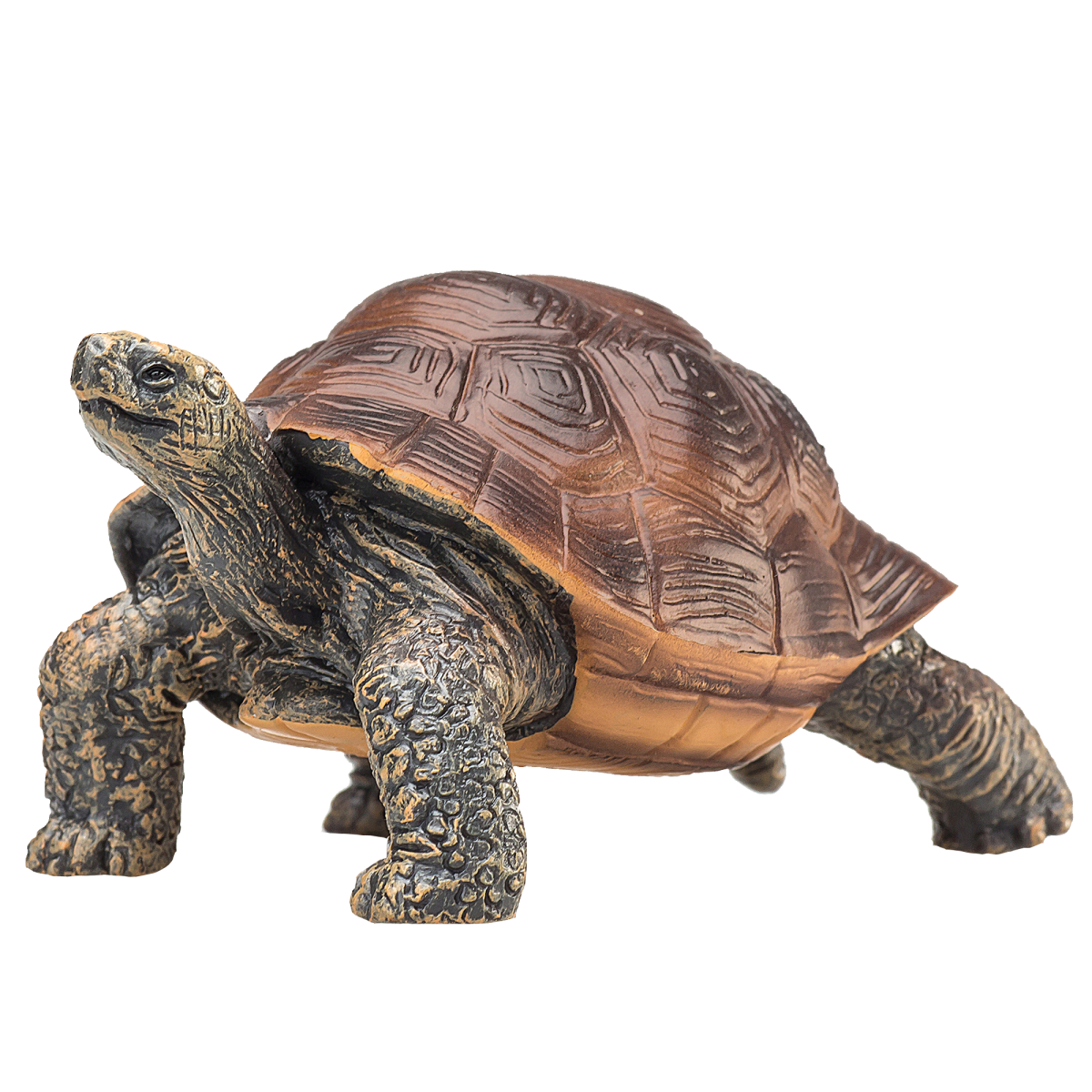 Giant Tortoise Toy – Realistic Reptile Model Giant Tortoise Toy – Realistic Reptile Model
