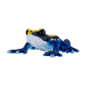 Poison Dart Frog Blue Toy – Realistic Rainforest Amphibian Poison Dart Frog Blue Toy – Realistic Rainforest Amphibian