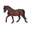Morgan Stallion Bay Toy – Realistic Equestrian Figure
