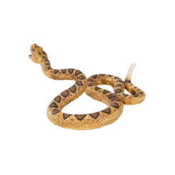 Rattlesnake Toy – Realistic Reptile Model