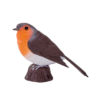 Robin Bird Toy – Realistic Wildlife Figurine
