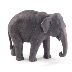 Asian Elephant Toy Figure – Realistic Wildlife Model