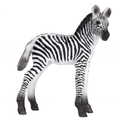Zebra Foal Toy – Realistic African Wildlife Model
