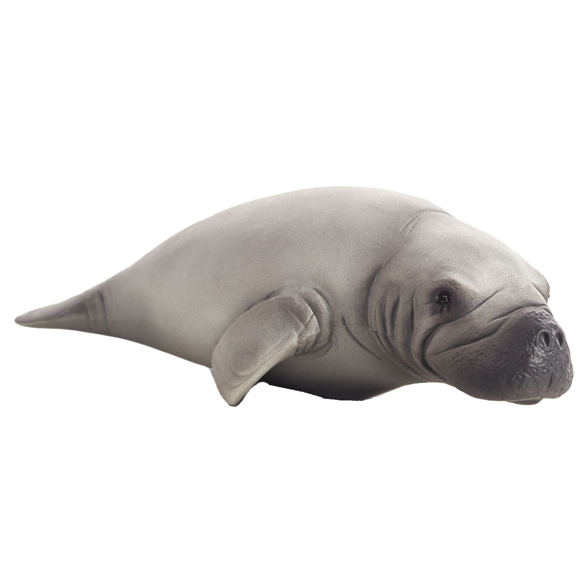 Manatee Toy – Realistic Marine Mammal Figurine Manatee Toy – Realistic Marine Mammal Figurine