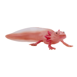 Axolotl Toy – Realistic Amphibian Figurine