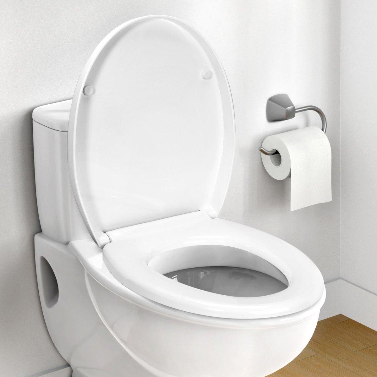 Quick Release Toilet Seat Quick Release Toilet Seat