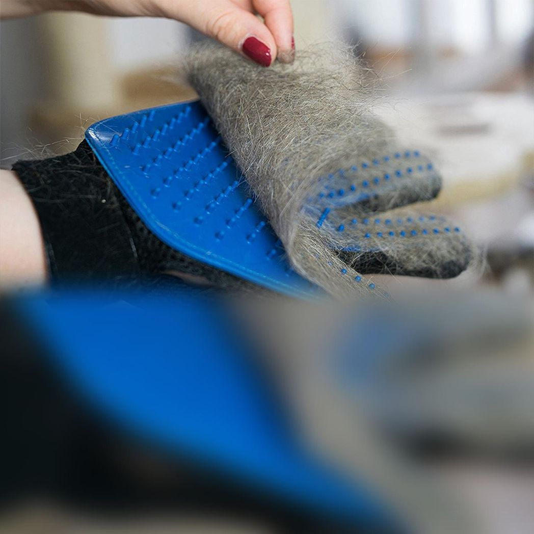 Cat And Dog Grooming Gloves 1 Pair - Blue Cat And Dog Grooming Gloves 1 Pair - Blue - Image 6