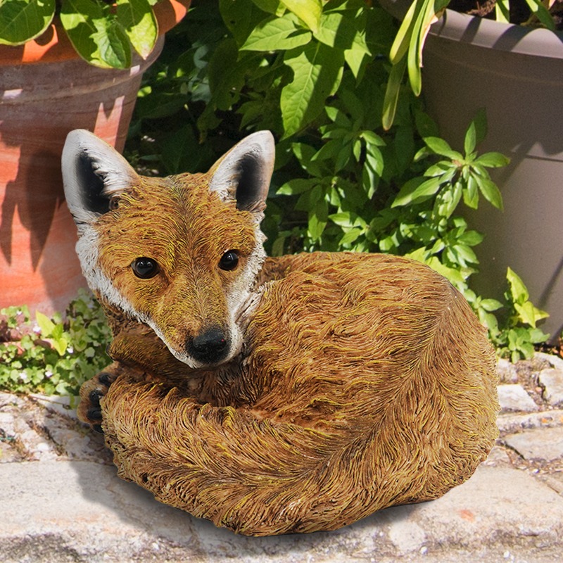Curled Up Fox Curled Up Fox