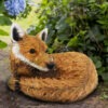 Curled Up Fox Curled Up Fox - Image 2
