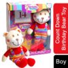Birthday Buddy (Girl) & (Boy) Count Down Birthday Bear Toy[Birthday Buddy - Boy]