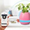 Debonair Music Flower Pot Bluetooth Speaker for Bedroom, Office & Living Room[Pink]