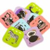 108 Augmented Reality Educational Cards with Storage Bag