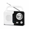 Soundz SZ412 AM/FM Bluetooth Radio with USB Port And SD Card Slot, Black/White - Image 5