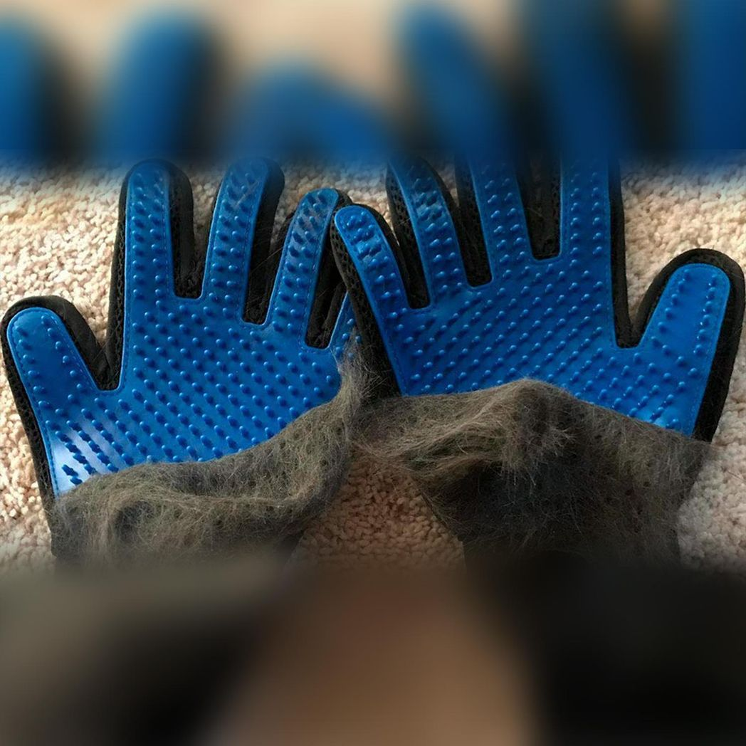 Cat And Dog Grooming Gloves 1 Pair - Blue Cat And Dog Grooming Gloves 1 Pair - Blue - Image 7