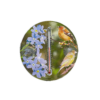 Outdoor Window Thermometer with Bird Design Outdoor Window Thermometer with Bird Design - Image 2