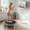 Fitness Trampoline with Adjustable Handle Fitness Trampoline with Adjustable Handle - Image 7