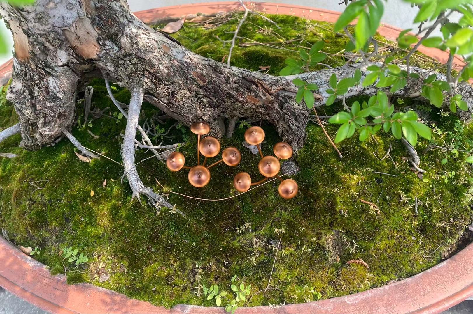 Copper Finish Mushroom Garden Stake Set of 2 Copper Finish Mushroom Garden Stake Set of 2
