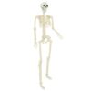 vidaXL Halloween Skeleton 2 pcs White 85 cm Polypropylene vidaXL Halloween Skeleton 2 pcs White 85 cm Polypropylene - Image 4