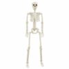 vidaXL Halloween Skeleton 2 pcs White 85 cm Polypropylene vidaXL Halloween Skeleton 2 pcs White 85 cm Polypropylene - Image 5