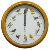 Radio Controlled Bird Song Clock