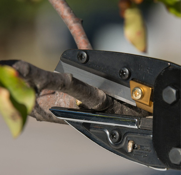 Multi-Cutter Tool – Garden, Hobby & Everyday Cutting Tool Multi-Cutter Tool – Garden, Hobby & Everyday Cutting Tool - Image 3