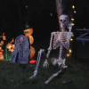 vidaXL Halloween Skeleton 2 pcs White 85 cm Polypropylene
